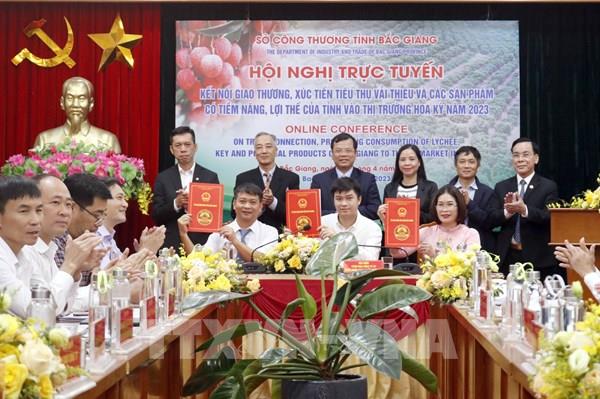 Tổ hợp giải pháp trên chuỗi giá trị của quả vải thiều