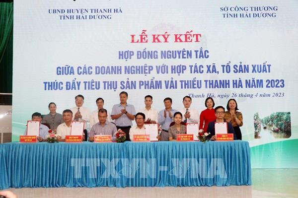 Chuẩn bị cho một vụ vải thiều thắng lợi