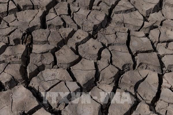 Tây Ban Nha kêu gọi EU viện trợ khẩn cấp cho nông dân ứng phó hạn hán