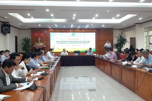 Giải pháp nào gỡ khó cho chăn nuôi gia cầm?