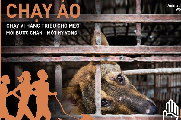 Phát động giải chạy trực tuyến “RUN FOR MILLIONS – Chạy vì hàng triệu chó, mèo”