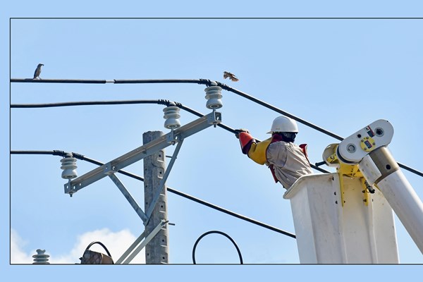 Điện lực miền Nam đảm bảo cấp điện 21 tỉnh phía Nam trong dịp nghỉ lễ