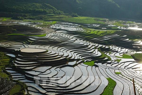Ngây ngất ruộng bậc thang Sa Pa mùa nước đổ