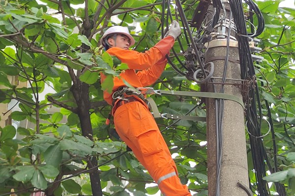 Điện lực Ninh Bình chủ động phúc tra hơn 232.000 công tơ điện