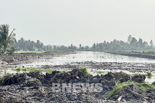 Thí điểm dùng cát biển làm nền đường cao tốc cho kết quả khả quan