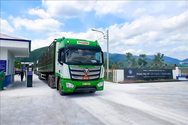 THILOGI nâng cao năng lực vận tải đường bộ nội địa