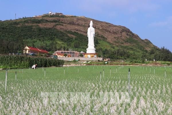 Đảo Lý Sơn - điểm đến kỳ bí, hấp dẫn