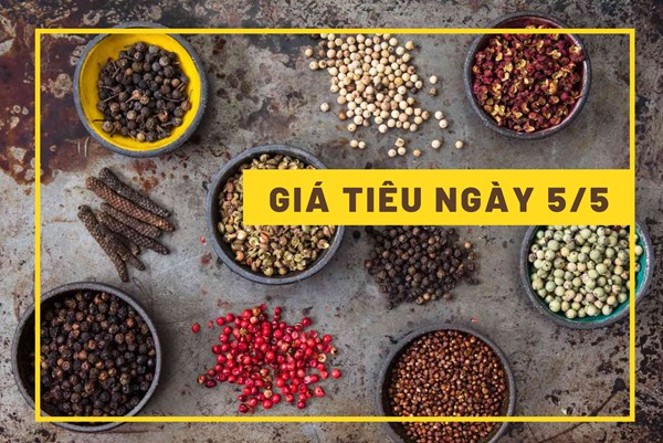 Giá tiêu ngày 5/5: Tiếp tục vượt ngưỡng 70.000 đồng/kg?