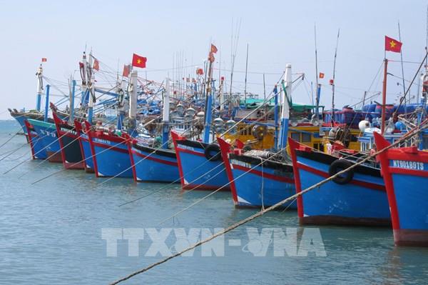 Thứ trưởng Phùng Đức Tiến: Sẽ chỉ đạo cụ thể từng tỉnh, thành trong chống khai thác IUU