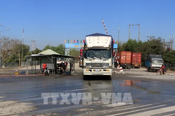 Xử lý nghiêm vận chuyển trái phép gia cầm vào Việt Nam