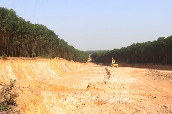 Quảng Trị làm rõ việc đào, lấy đất lâm nghiệp trái phép quy mô lớn