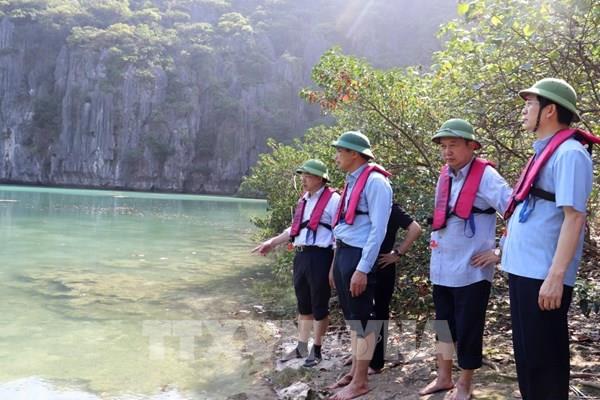 Không có “vùng cấm” trong xử lý sai phạm trên Vịnh Hạ Long, Bái Tử Long​