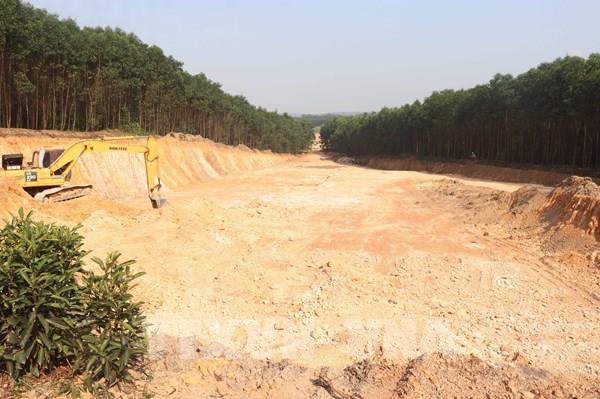 Quảng Trị yêu cầu khắc phục hậu quả việc đào lấy đất rừng trái phép quy mô lớn
