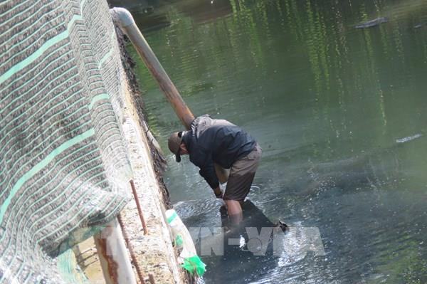 Xử phạt cơ sở sơ chế cơm dừa gây ô nhiễm môi trường