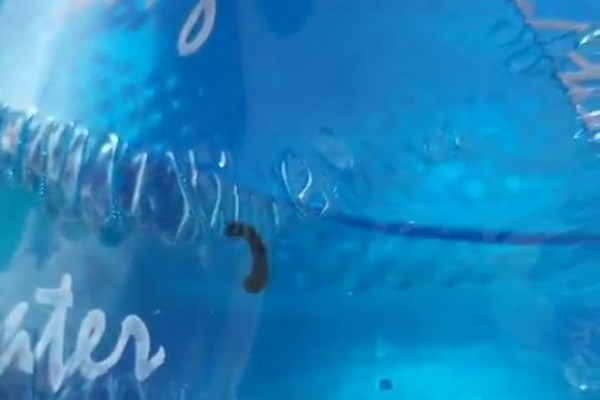 Tạm dừng sản xuất, kinh doanh cơ sở cung cấp bình nước đóng chai có đỉa