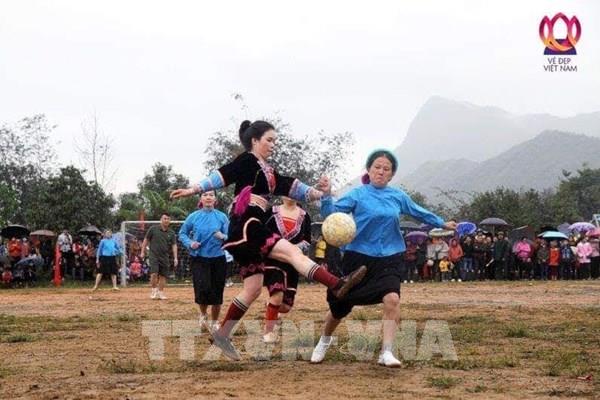 Quảng Ninh: Ngày 20-21/5 diễn ra Lễ hội Hoa sim biên giới năm 2023