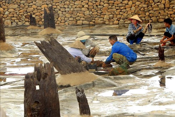 Bổ sung Bãi cọc Bạch Đằng vào Hồ sơ Yên Tử trình UNESCO công nhận Di sản Văn hóa thế giới 