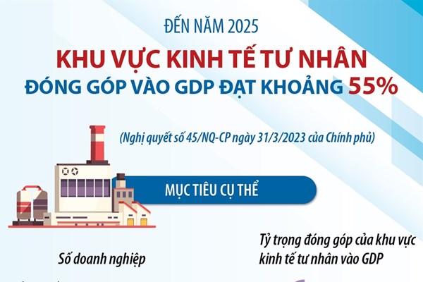 Đến năm 2025, khu vực kinh tế tư nhân đóng góp vào GDP đạt khoảng 55%