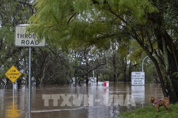 Australia lên kế hoạch thiết lập mạng lưới cảnh báo lũ đáng tin cậy