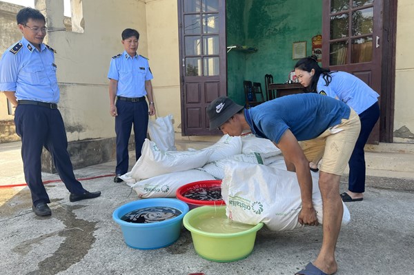 Quảng Bình buộc tiêu hủy 500kg đường kính nhập lậu và giày, dép giả mạo nhãn hiệu