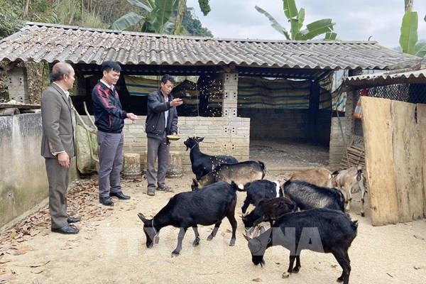 Đồng bào vùng biên thoát nghèo nhờ tín dụng ưu đãi