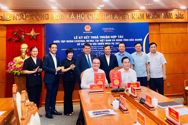 Central Retail Việt Nam dự kiến tiêu thụ 300 tấn vải thiều Bắc Giang