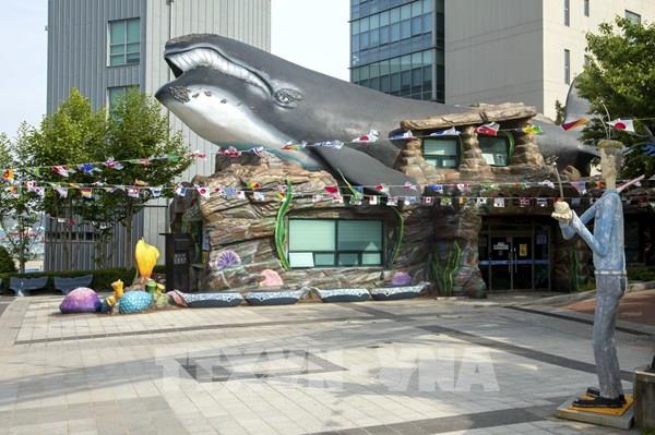  Độc đáo Làng văn hóa cá Voi ở Ulsan (Hàn Quốc)