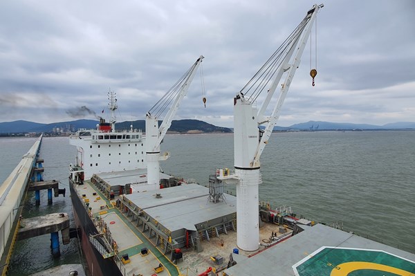 Xi măng Nghi Sơn xuất khẩu 31.500 tấn sản phẩm sang thị trường Mỹ 