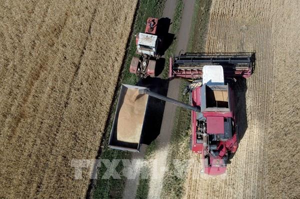 Nga nêu điều kiện để tham gia trở lại Sáng kiến ngũ cốc Biển Đen