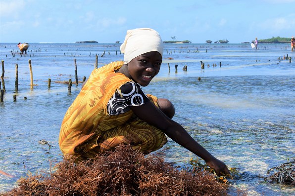 Kenya hợp tác với EU để thúc đẩy nền kinh tế xanh