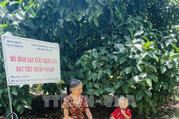 Măng cụt cháy hàng, tăng giá mạnh