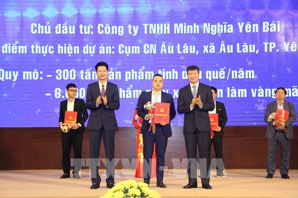 Tạo môi trường đầu tư sạch, bình đẳng giữa các doanh nghiệp