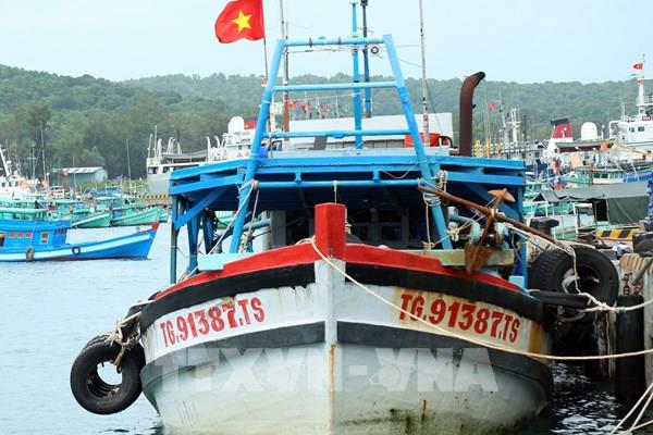 Kiên Giang: Bắt giữ tàu vận chuyển khoảng 30.000 lít dầu DO trái phép