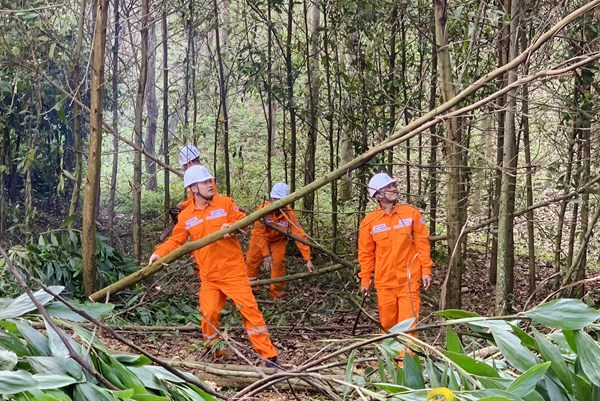 Bảo đảm hành lang an toàn lưới điện trên địa bàn tỉnh Thanh Hóa 