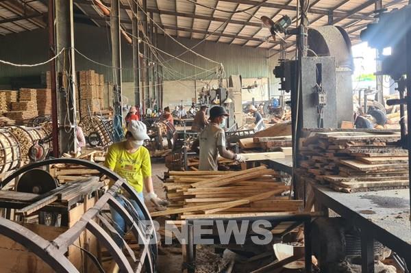 Ngành gỗ Việt Nam xanh hóa để tăng cạnh tranh