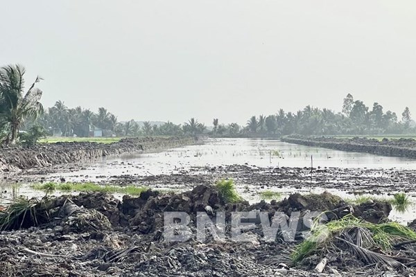 Dự án cao tốc tại Đồng bằng sông Cửu Long gặp khó khăn về nguồn cát đắp