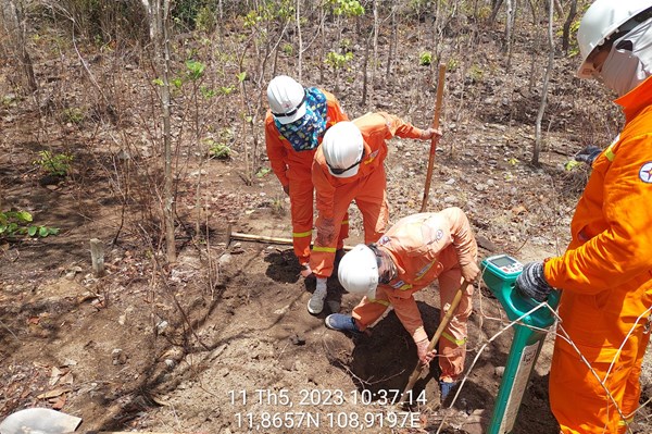 PTC3 nỗ lực đảm bảo vận hành an toàn lưới điện trước diễn biến phức tạp của thời tiết