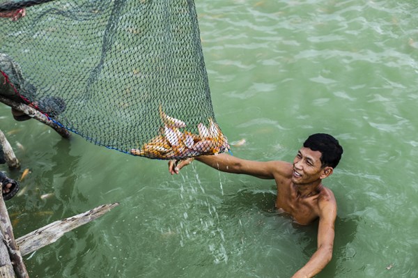 Campuchia cấm đánh bắt cá trong 4 tháng để bảo vệ nguồn lợi thủy sản