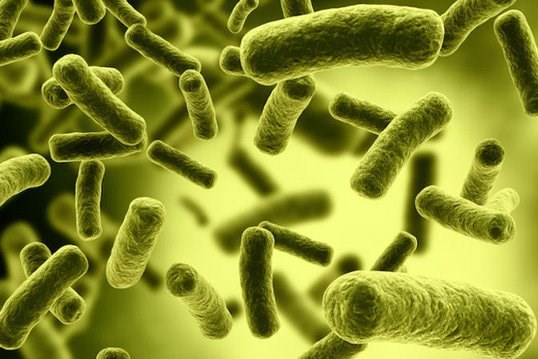 Độc tố clostridium botulinum nguy hiểm như thế nào?