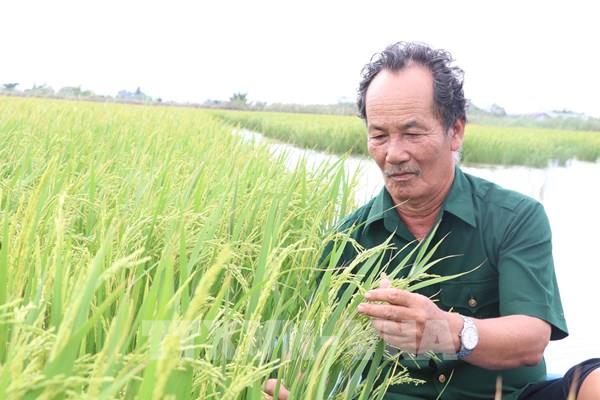 Mở lối tư duy kinh tế nông nghiệp - Bài cuối: Hướng đến phát triển bền vững