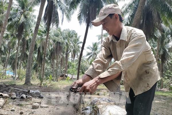 Mở lối tư duy kinh tế nông nghiệp - Bài 1: Hóa giải “lời nguyền” manh mún, tự phát