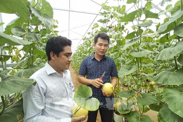 Mở lối tư duy kinh tế nông nghiệp - Bài 2: Bắt nhịp xu thế