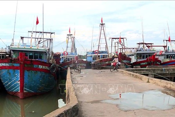 Hải Phòng, Ninh Bình, Thanh Hoá, Thái Bình khẩn trương ứng phó bão số 1
