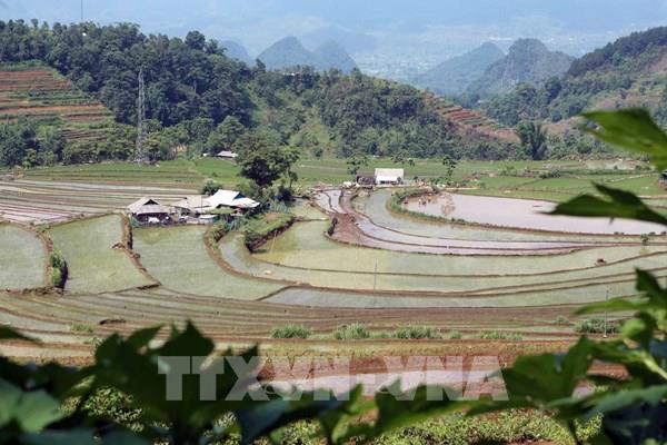 Mùa nước đổ trên những thửa ruộng bậc thang ở Lai Châu