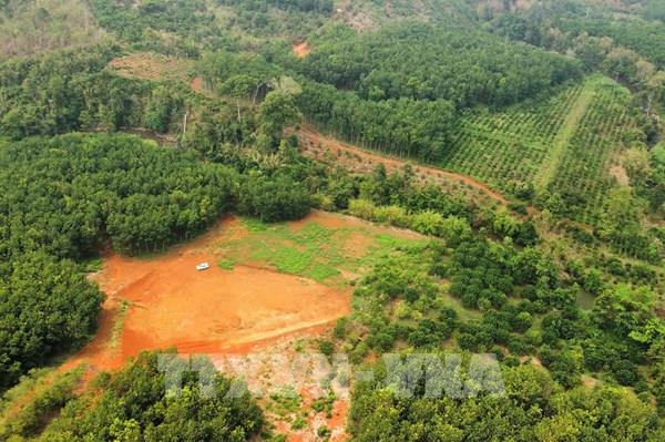 Rà soát, xử lý các vi phạm, sai phạm tại 2 dự án thủy điện Đắk Glun 2, Đắk Glun 3