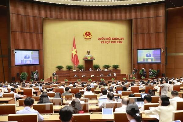 Cần tính toán cụ thể phương án trồng rừng thay thế tại Dự án Hồ chứa nước Ka Pét