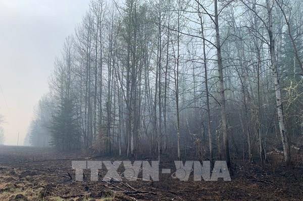 Ứng dụng AI trong đối phó cháy rừng ở Canada