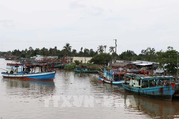 Việt Nam đang đi đúng hướng và có cải thiện tích cực