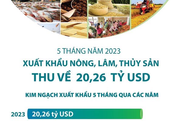 5 tháng: Xuất khẩu nông, lâm, thủy sản thu về 20,26 tỷ USD
