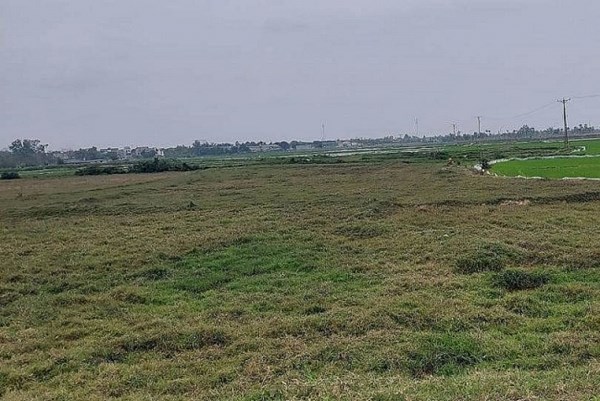 Thủ tục gia hạn sử dụng đất nông nghiệp